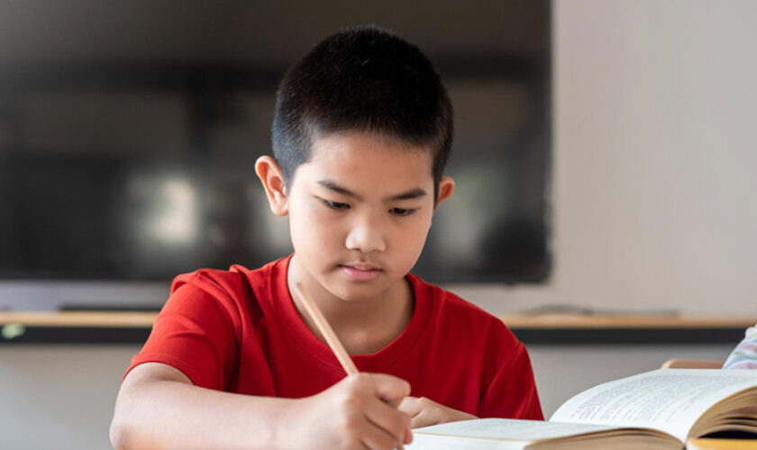 The Productivity Formula to JC Chemistry Tuition You Need to Know